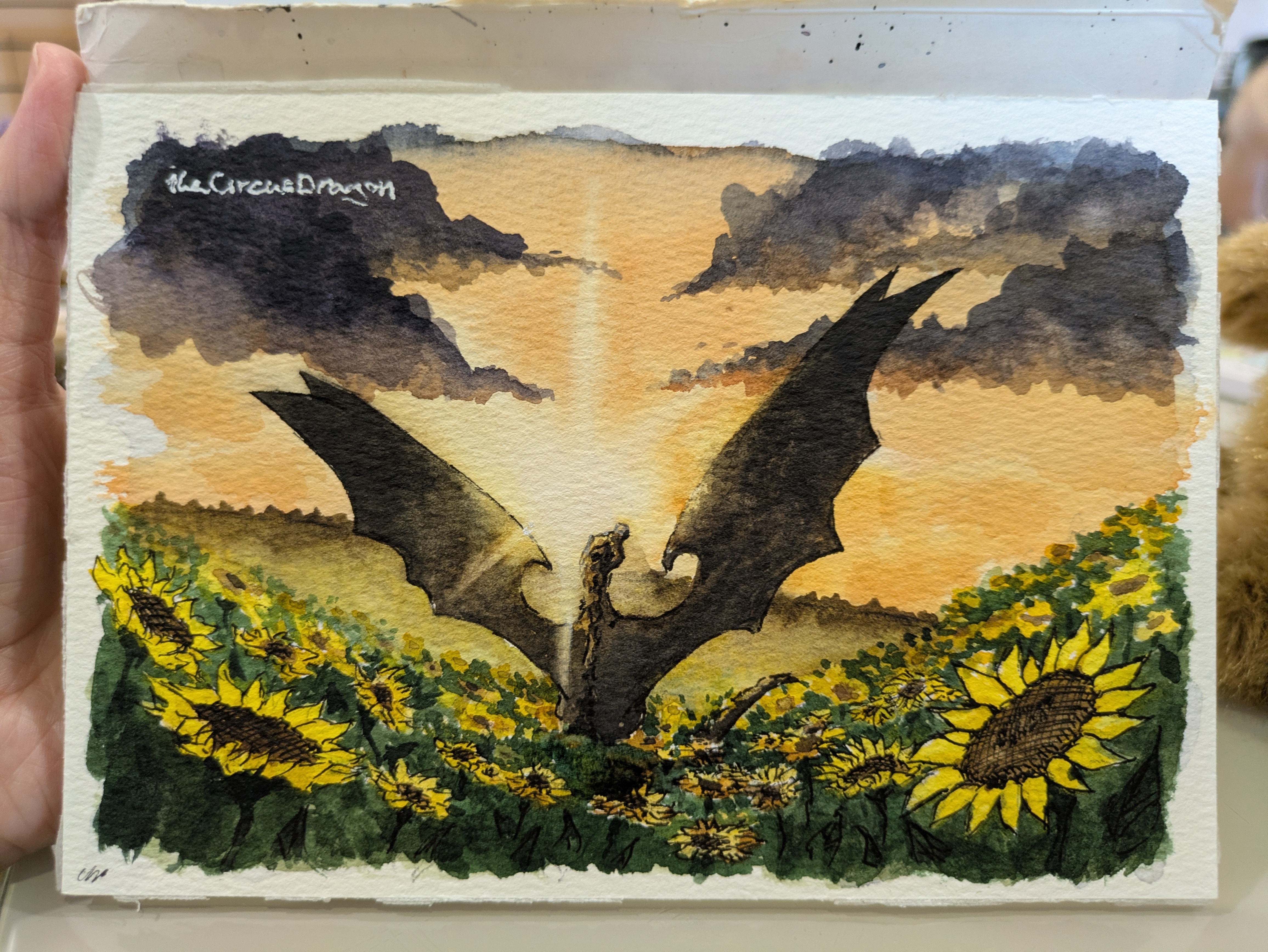 Sunflowers